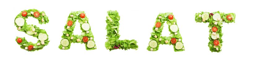 Salate Banner